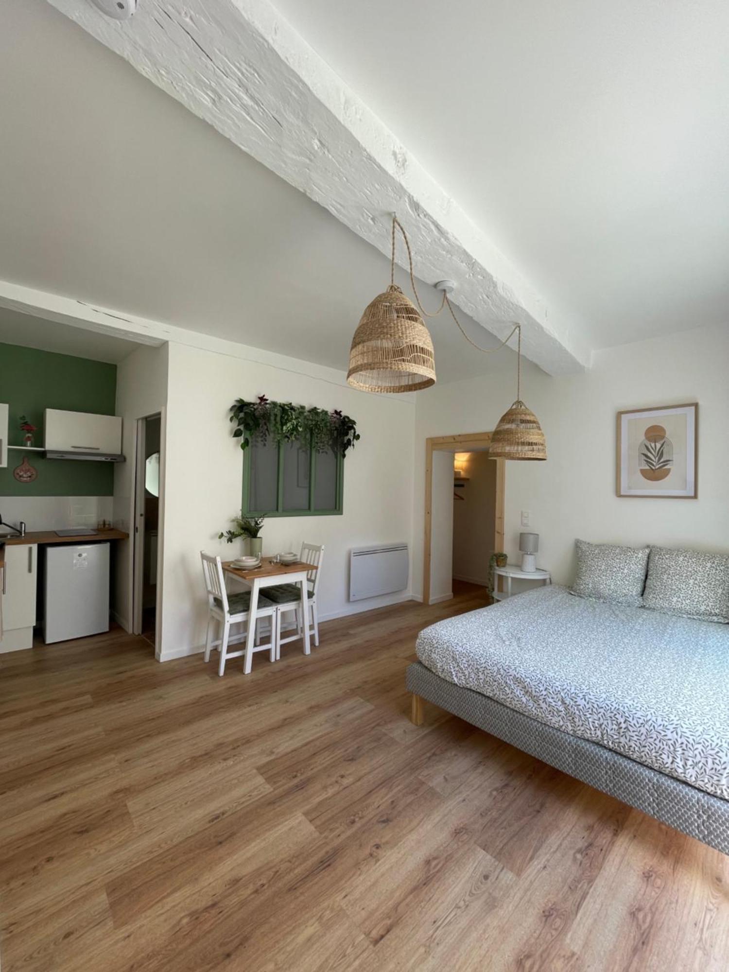 Appartement Chaleureux Blere Zewnętrze zdjęcie